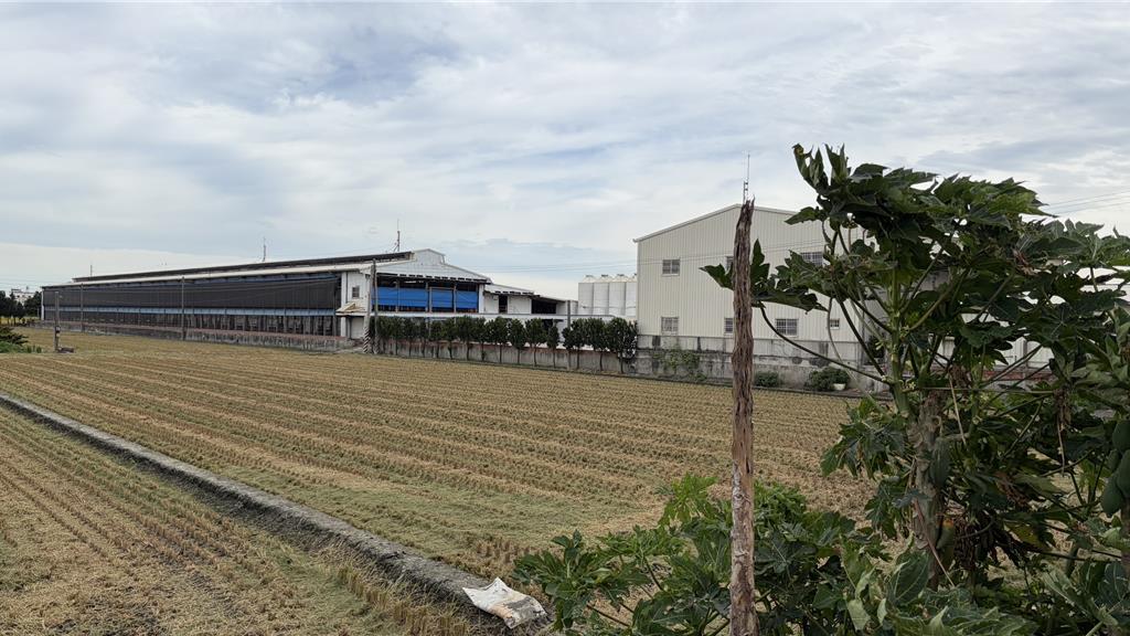 芬普尼蛋污染源追查!彰化排除「飼主違規用藥」