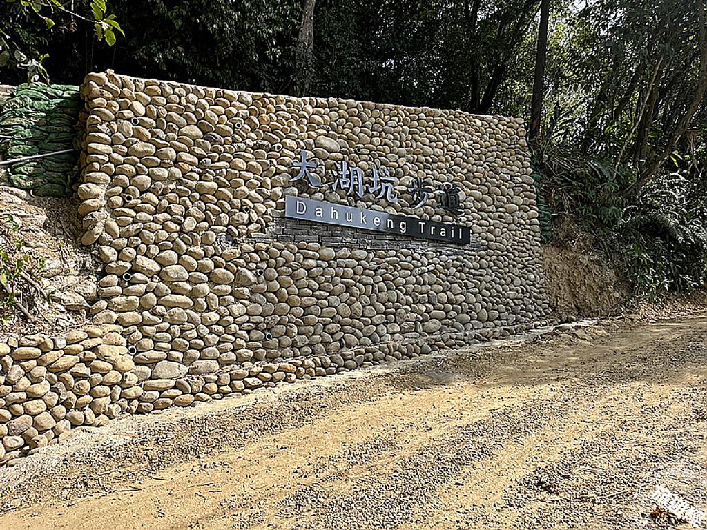 桃園大棟山「大湖坑」步道將開放 1.4公里「遊」煤礦產業及蜻蜓、豆娘生態!圖/桃園觀旅局提供