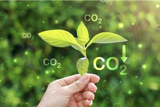 部分國家憂美國破壞氣候談判 外媒：大陸態度從從容容