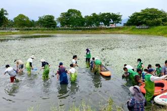 亲子生态旅游好去处 美浓湖溼地工程成功復育水雉 