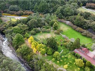鳳凰來襲 武陵農場明下午2時起休園 遊客暫緩上山