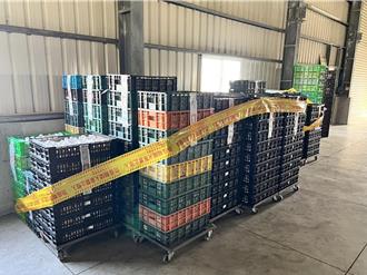 學童免驚！北市教育局：芬普尼毒蛋「未流入」營養午餐