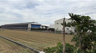 芬普尼蛋污染源追查！彰化排除「飼主違規用藥」