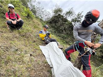 单攻郡大山失联 疑遇虎头蜂攻击坠180米深山谷