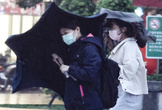 鳳凰颱風進逼 北市12里明停班課