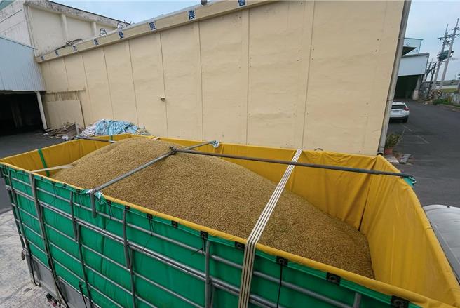 台南市已有稻農擔心颱風災情，10日先搶收稻米送進農會倉庫。（台南市後壁區農會提供／程炳璋台南傳真）
