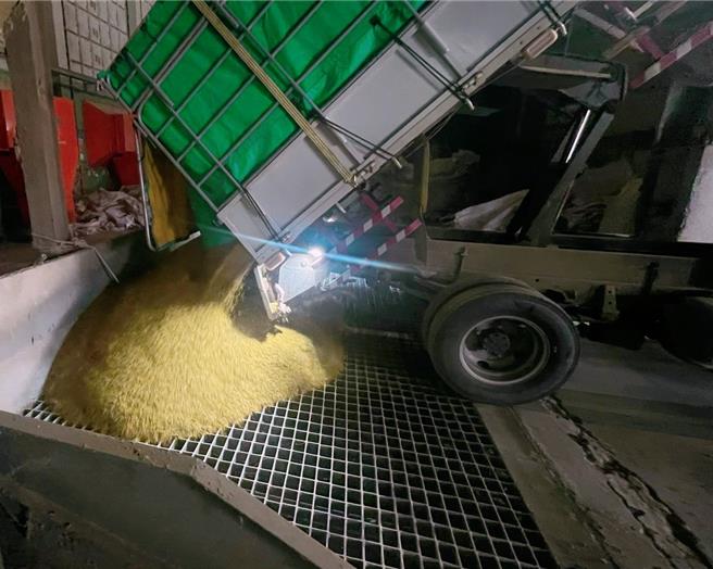 台南市有稻農10日搶收稻米送進農會倉庫，但恐因生育天數不足，稻粒溼度過高，被篩出淘汰。（台南市後壁區農會提供／程炳璋台南傳真）