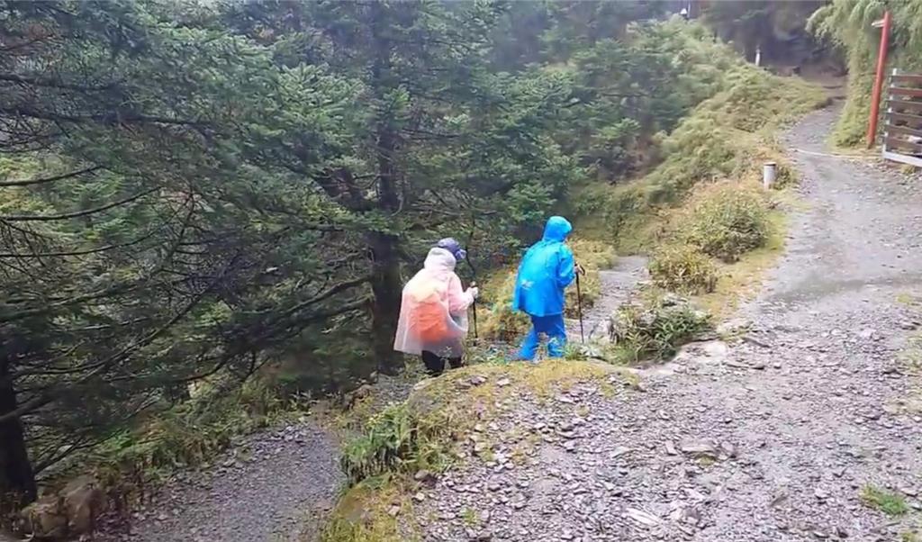 鳳凰颱風來襲！玉山286名山友緊急下撤