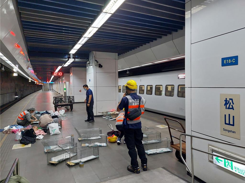 寵物籠手扶梯滾落彈開!15歲老貓松山車站逃逸未尋獲