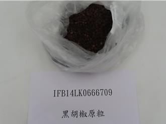 越南黑胡椒再检出苏丹色素！2批23吨全数边境销毁
