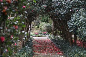 台北「花IN台北」国际夺金 4大设计奖展城市美学