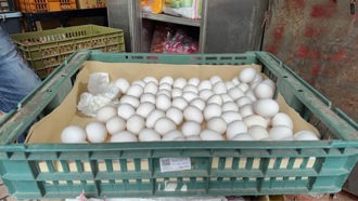 15万颗芬普尼蛋流窜 市场散装蛋怎辨别？菜贩教看