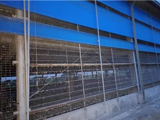 吃到芬普尼毒雞蛋怎麼辦？醫師：多喝水「無法」有效排毒