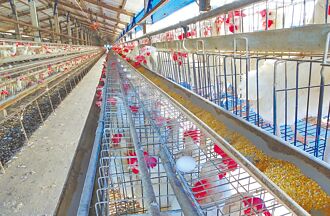 芬普尼超標 動團直指籠飼惹禍