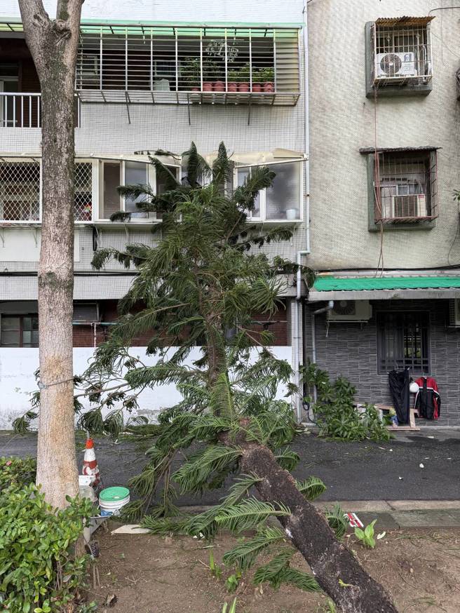 民宅遮雨棚與鋁窗被壓壞。（蕭宥彤翻攝）