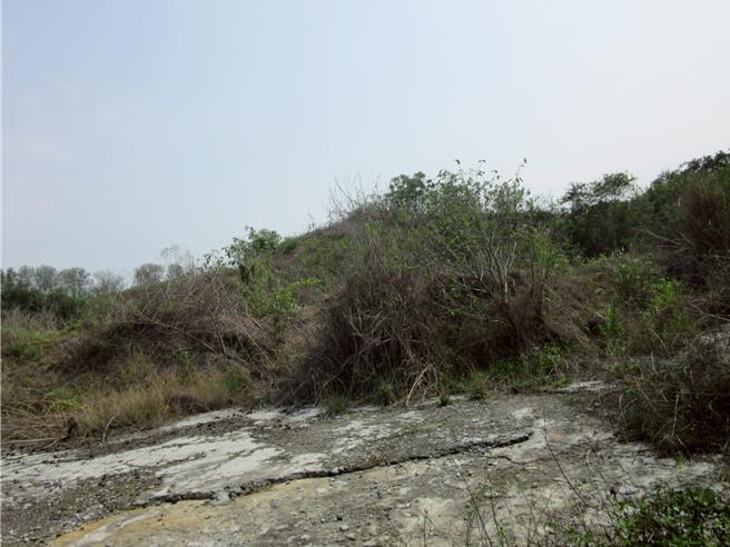 李男拒繳非法丟置廢棄物的清理費用，嘉義執行分署人員強制執行李男名下財產查扣拍責。（嘉義分署提供／廖素慧嘉市傳真）