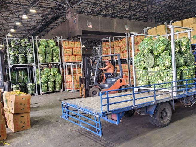 最近平地與山區高麗菜都盛產，價格不高，因鳳凰颱風來襲，大量高麗菜湧入西螺果菜市場，圖為承銷商搬菜。（周麗蘭攝）
