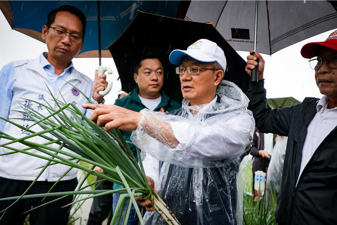代理縣長林茂盛（中）今（11）日上午特別前往林長河農友的蔥田視察，了解實際災損情形。（宜蘭縣政府提供／吳佩蓉宜蘭傳真）