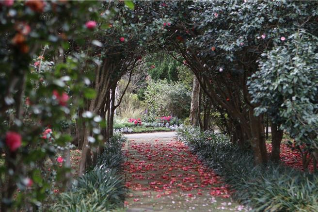 北市公園處主辦的城市花卉品牌「花IN台北」，於民國114年榮獲4項國際設計大獎金獎，包括澳洲雪梨設計獎、義大利羅馬設計獎、英國IAA倫敦設計獎、美國繆思創意獎。（北市公園處提供／張珈瑄台北傳真） 