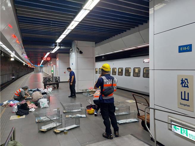 动保处及民间提供诱捕笼运抵松山车站月台，配合台铁规定及需求展开多轮救援行动。（北市动保处提供／张珈瑄台北传真）