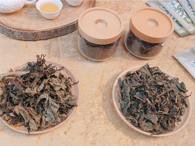 嘉义农试所11日发表「台农咖啡1号」的咖啡叶可应用于保健护肤产品。（廖素慧摄）