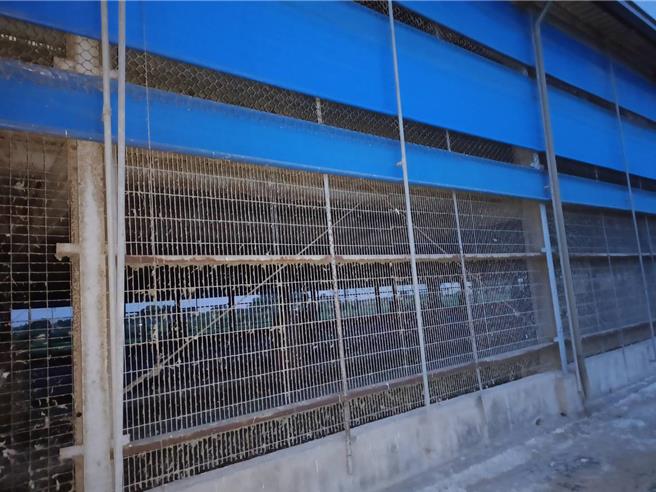 彰化縣文雅畜牧場所產雞蛋被驗出芬普尼超標。（葉靜美攝）