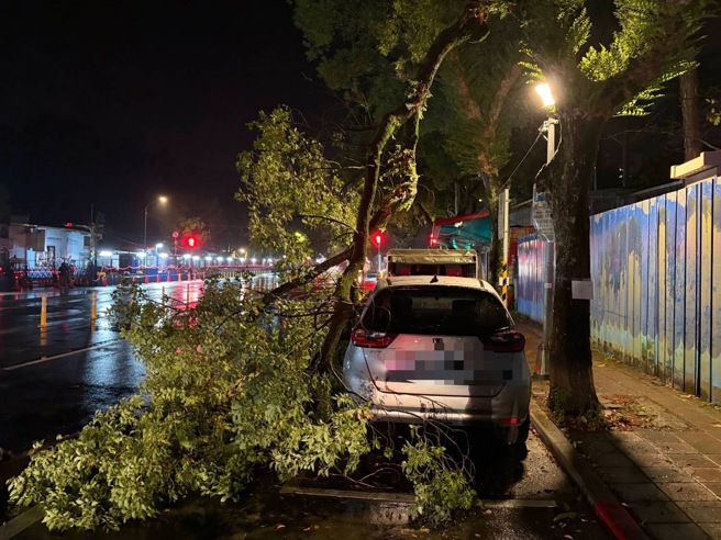 11日晚間10時許，台北市士林區至善路二段發生驚險一幕，一棵約三層樓高的大型路樹不堪強風吹襲，應聲倒塌當場壓毀路邊停放車輛。（圖／簡銘柱翻攝）