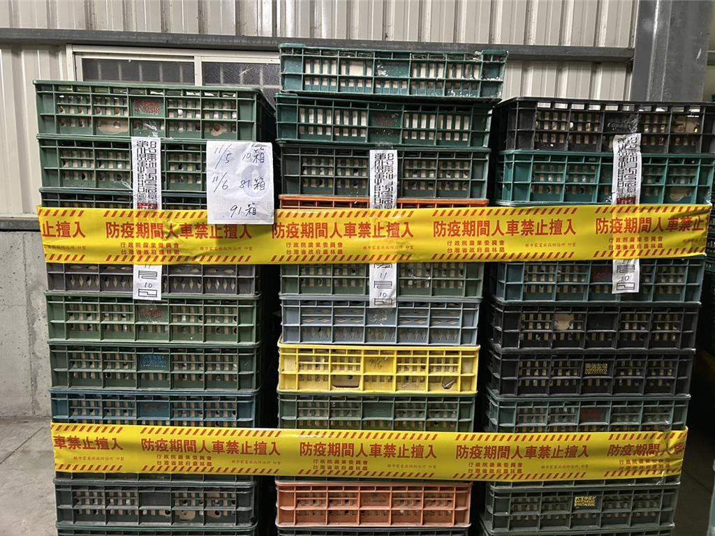 文雅畜牧場雞蛋抽驗 芬普尼仍超標 彰化縣府重罰12萬