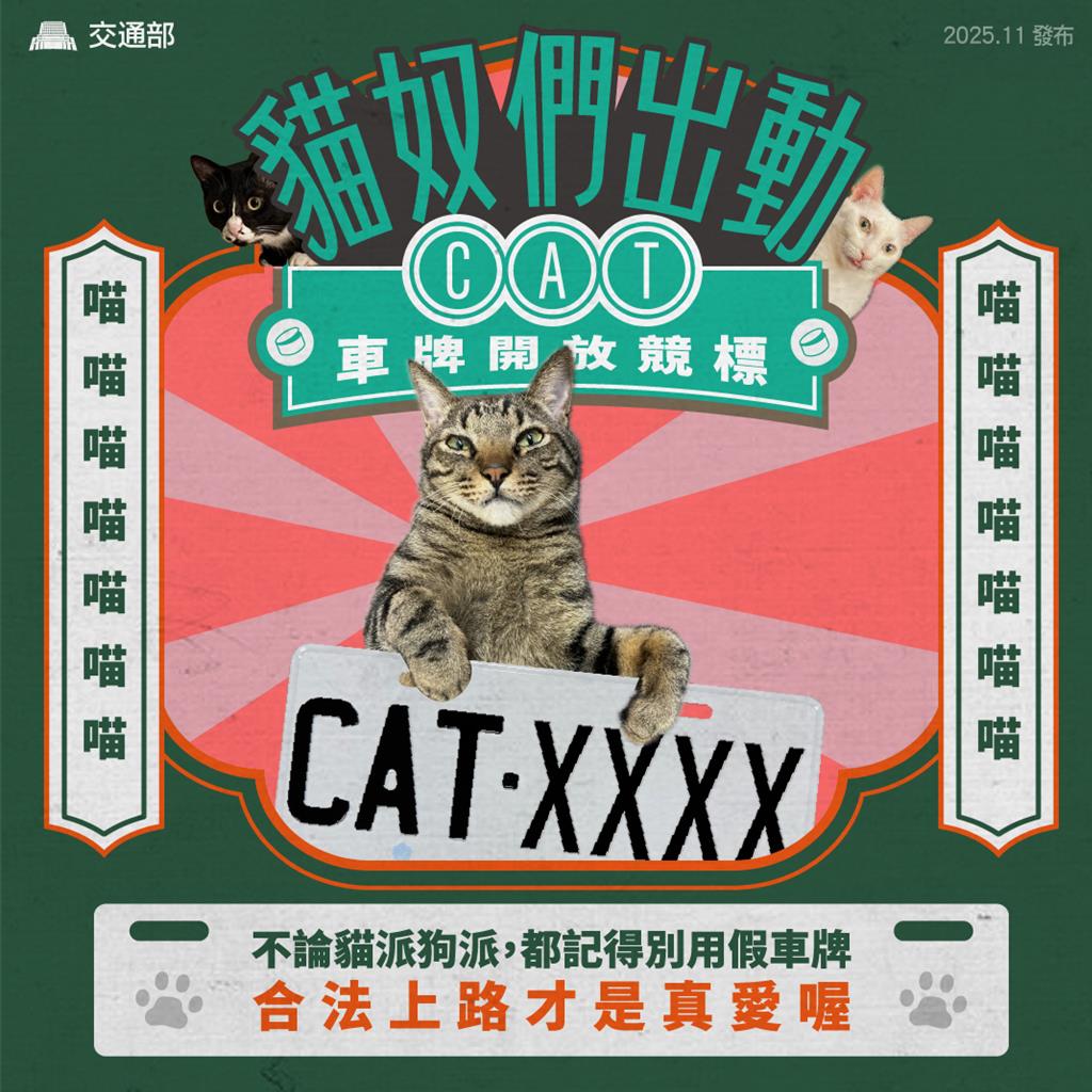 貓奴必看！CAT系列車牌競標火熱 人氣最夯破57萬