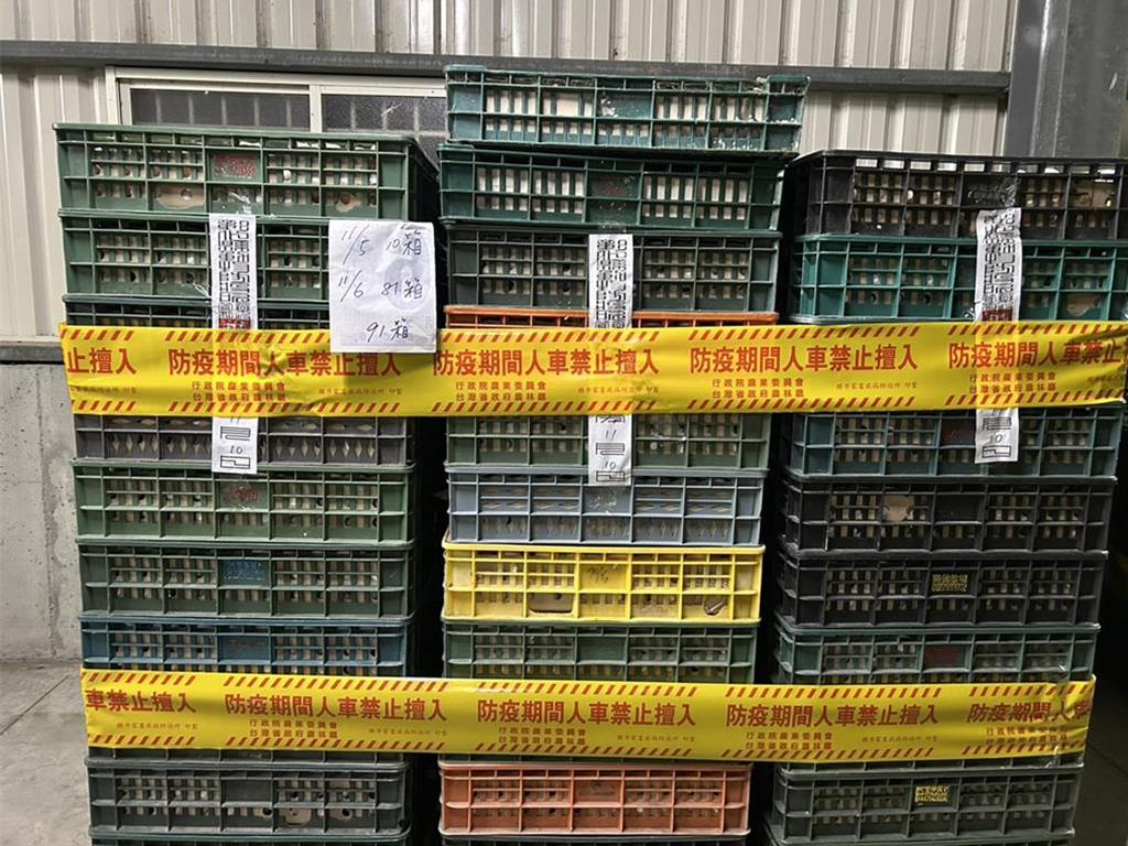 芬普尼蛋都吃下肚？食藥署：15萬顆僅回收3萬顆