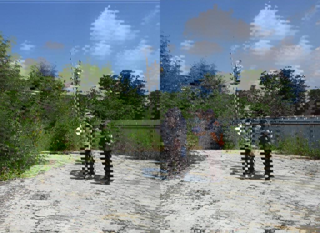 李男拒繳非法丟置廢棄物的清理費用，嘉義執行分署人員強制執行李男名下財產拍責。（嘉義分署提供／廖素慧嘉市傳真）
