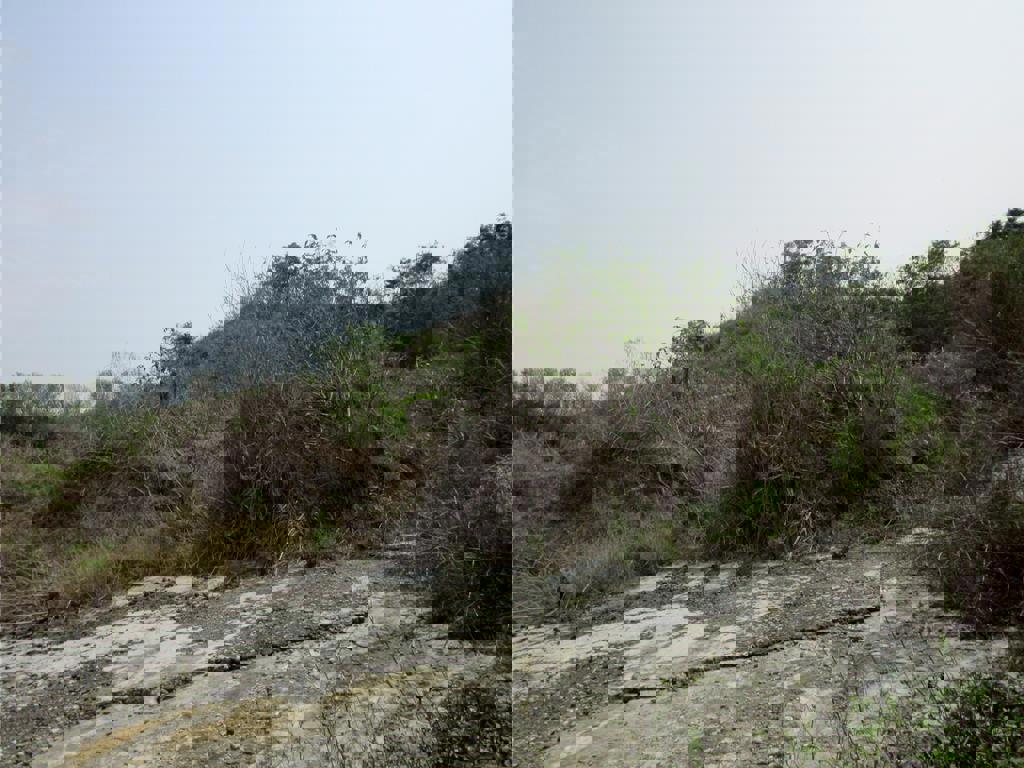 李男拒繳非法丟置廢棄物的清理費用，嘉義執行分署人員強制執行李男名下財產拍責。（嘉義分署提供／廖素慧嘉市傳真）
