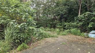 平鎮凶殺！17年前殺人妻女友剛假釋   惡男街頭又勒斃現任