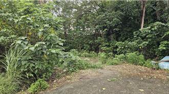 假釋後再犯！桃園惡男「重演舊案手法」勒斃女友 自傷後報警自首