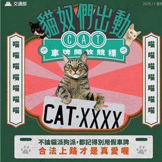 猫奴必看！CAT系列车牌竞标火热 人气最夯破57万