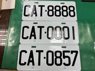 貓奴搶CAT車牌「8888」57.6萬決標 創基隆站紀錄