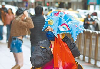 農民搶收到貨量增 菜價微跌
