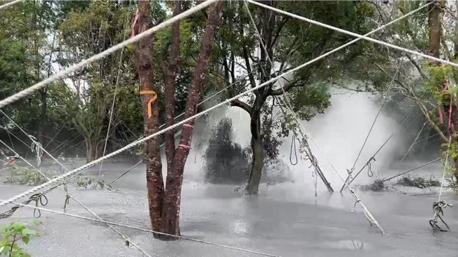 今年屏东万丹泥火山在6月26日首度喷发，相隔5个月后，12日二度喷发，由于现正值红豆栽培期，红豆田恐遭泥浆全灭，目前正紧急引流中。（民眾提供／谢佳潾屏东传真）