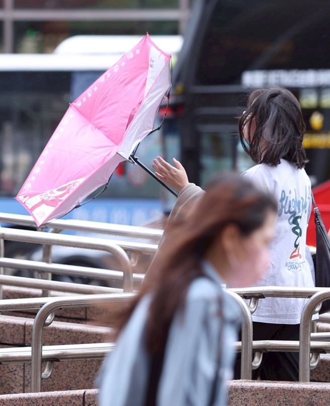 鳳凰颱風立冬後來襲，北市市中心出現陣陣強風。（陳俊吉攝）