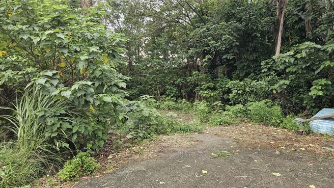 李男在周女住家附近空地將人勒斃。（呂筱蟬攝）