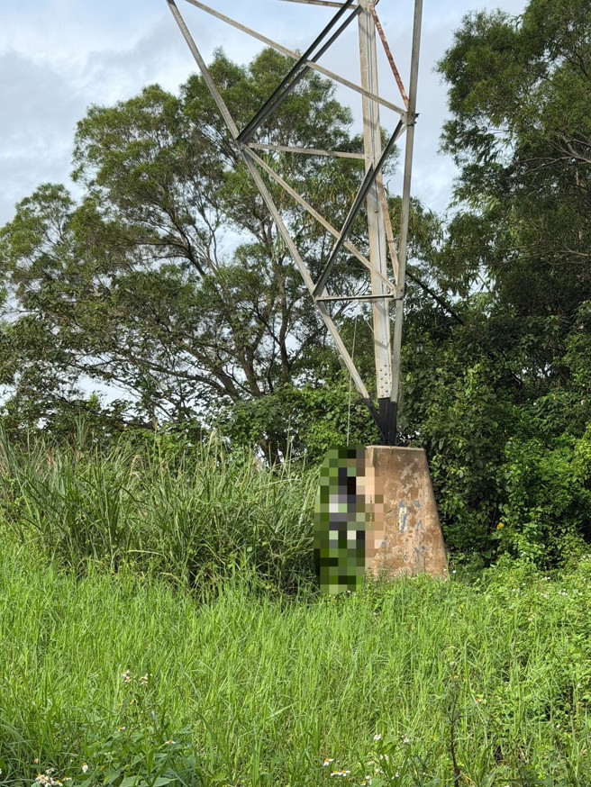 桃園市虎頭山風景環保公園內的電塔12日上午8時許驚見男屍。（翻攝畫面）