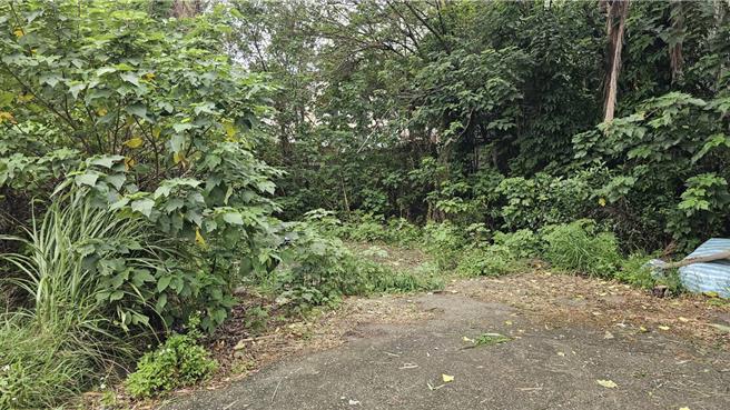 李男在周女住家附近空地將人勒斃。（呂筱蟬攝）