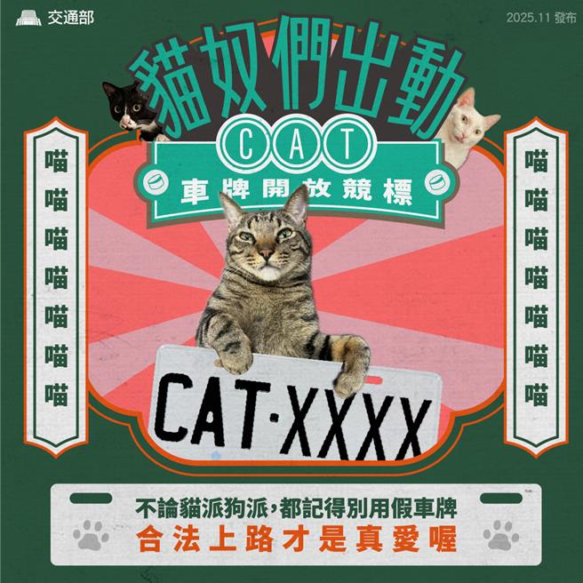 交通部1日公告，被誉为「猫奴身分证」的「CAT」开头自用小客货车牌开放竞标，于12日中午决标。（交通部提供）