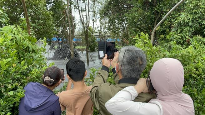 輕颱鳳凰尚未登陸，屏東萬丹泥火山12日搶先噴發，由於屏東天氣陰涼無雨，因此吸引不少人潮前往「朝聖」，大批民眾搶拍泥火山噴發，意外成為颱風天奇景。（謝佳潾攝）