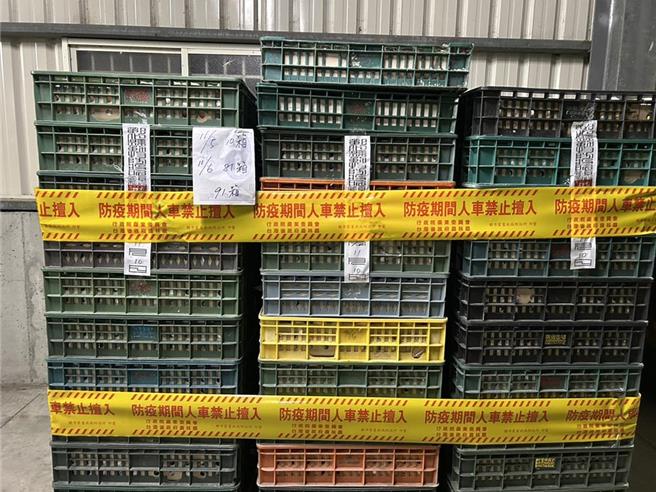 彰化縣芬普尼汙染蛋雞場複檢後仍有檢體檢出芬普尼代謝物，彰化縣府全面啟動禁止移動與封存管制措施。（彰化縣政府提供）