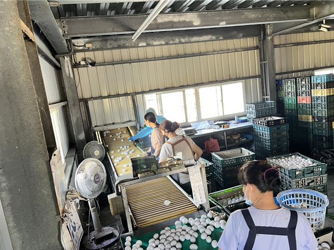 彰化县文雅畜牧场鸡蛋抽验出芬普尼残留。（图／彰化县政府）