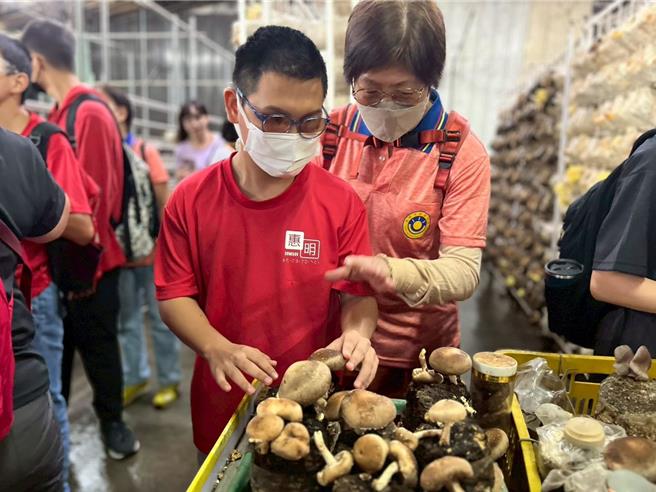 学生们体验採摘香菇。（惠明学校提供／李京升台中传真）