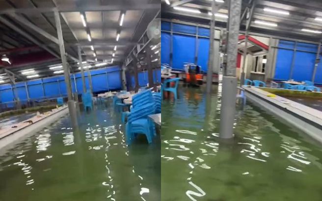 宜蘭11日下暴雨，然而位於濱海有某間釣蝦場被水淹至腳踝，民眾仍淡定開心聊天。（圖／翻攝自Threads）