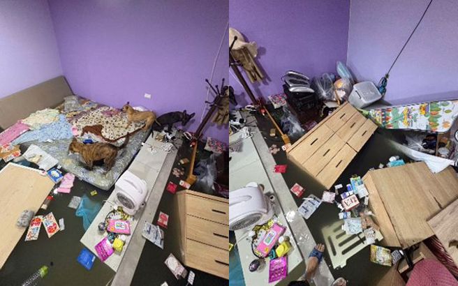 杨怀民4千万打造的狗园难敌超豪大雨被水淹。（图／翻摄自脸书飞翔蜜境）