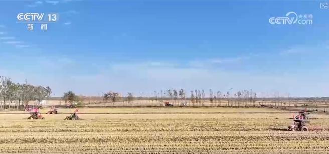 陸秋糧收購量逾1億噸新技術＋新設備助力秋冬播種。（大陸央視）